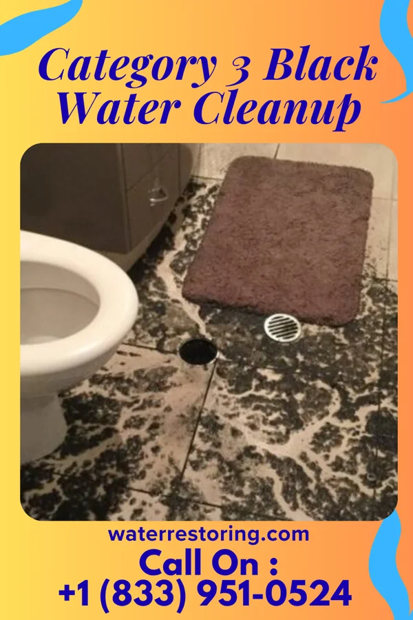 Category 3 Black Water Cleanup in Wall, PA