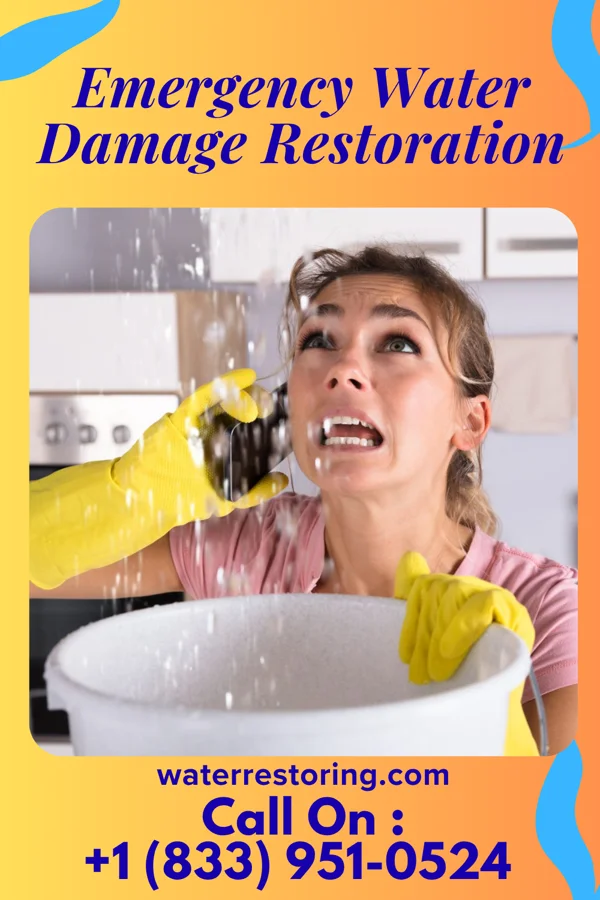 Emergency Water Damage Restoration in Wall, PA