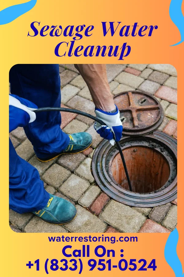 Sewage Water Cleanup in Wall, PA